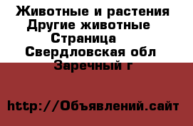 Животные и растения Другие животные - Страница 3 . Свердловская обл.,Заречный г.